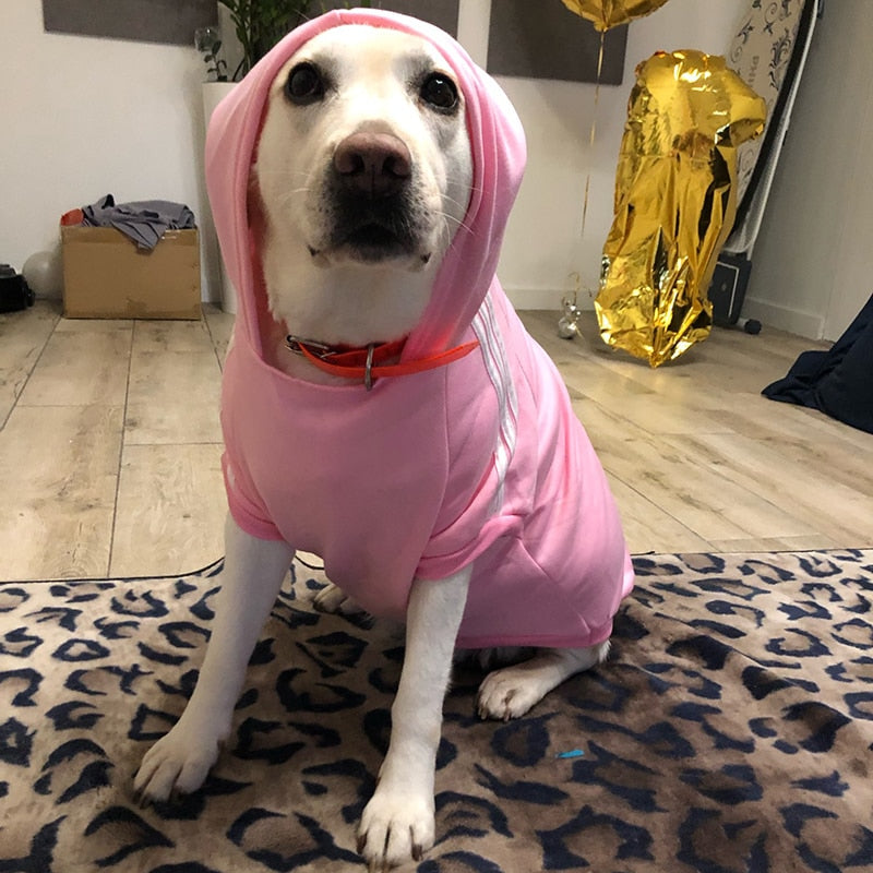 Adidog™: Roupa Para Cachorro Moletom Confortável para Pet - do P ao 9XG - Pet Croc 