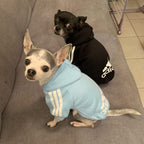 Adidog™: Roupa Para Cachorro Moletom Confortável para Pet - do P ao 9XG - Pet Croc 