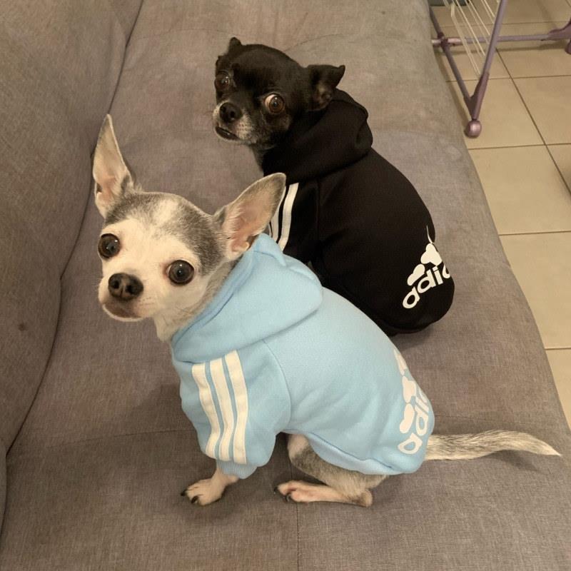 Adidog™: Roupa Para Cachorro Moletom Confortável para Pet - do P ao 9XG - Pet Croc 