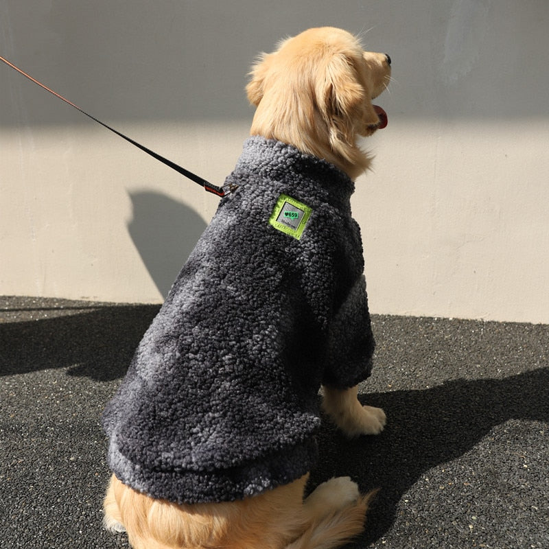 Roupa para cachorro de grande porte