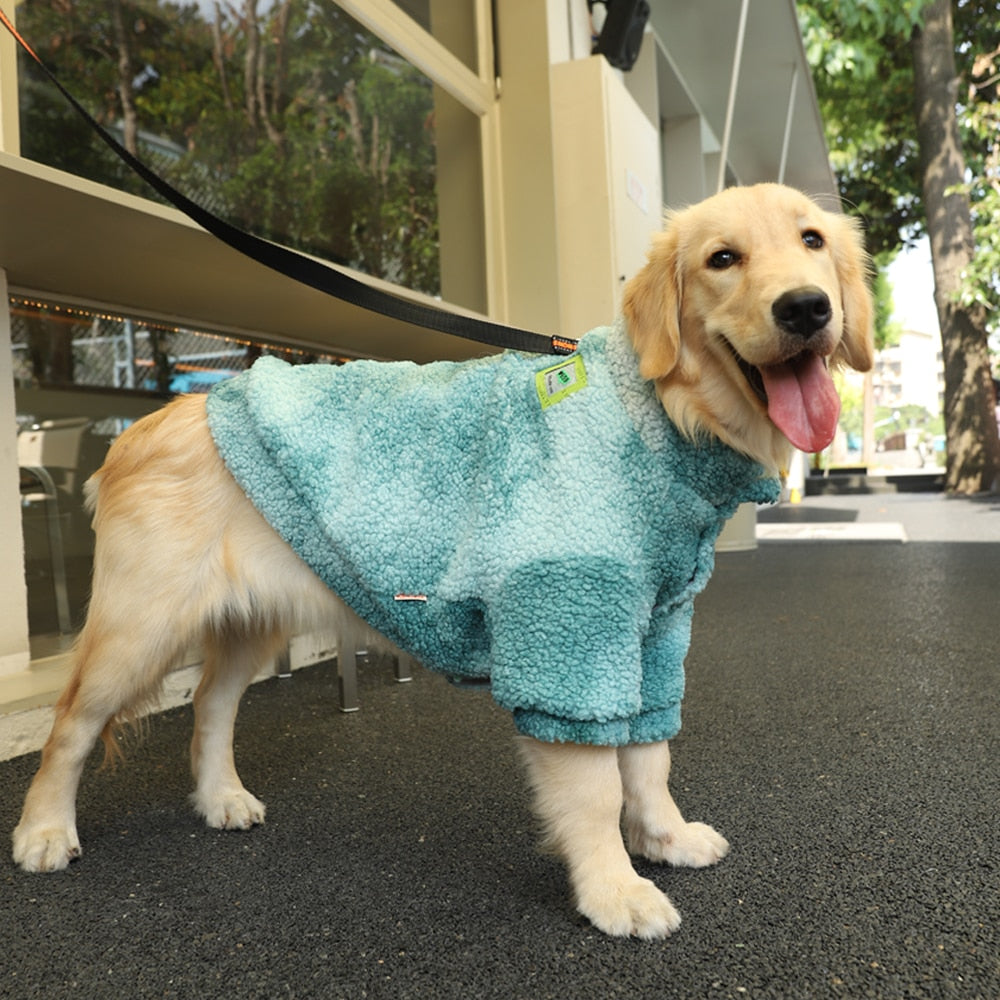 Roupa para cachorro de grande porte