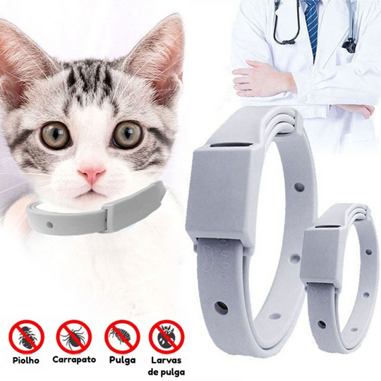 Coleira Antipulga Controle de pulgas e carrapatos