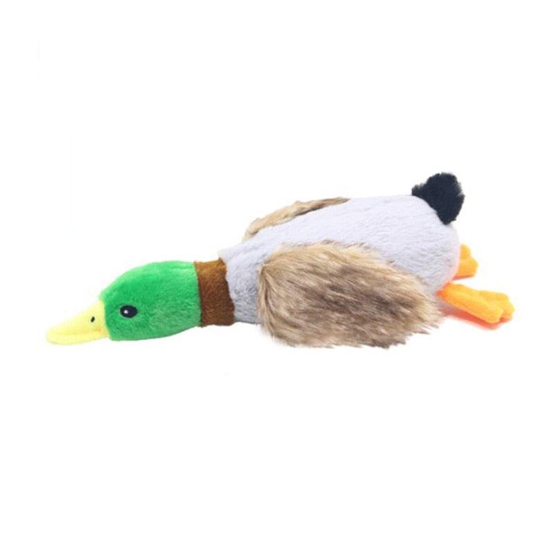Brinquedo de Pelúcia Pet 