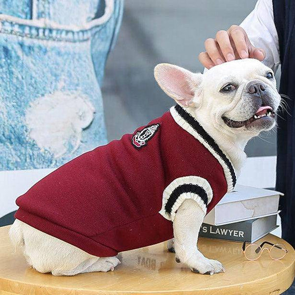 Roupa para Cachorro e Gato - Sueter - Pet Croc